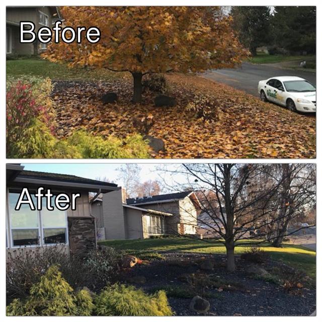 The Grounds Guys of Spokane fall cleanup