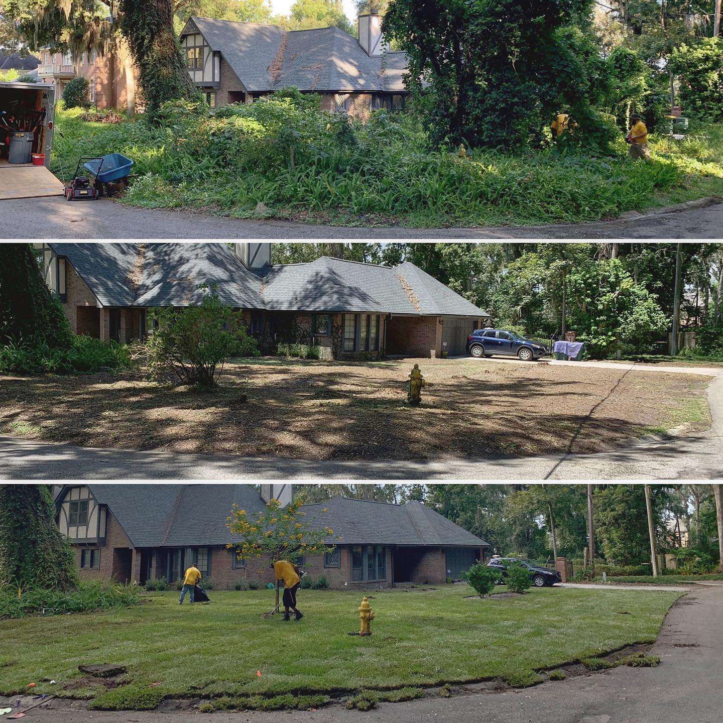 The Grounds Guys of St Johns, FL General