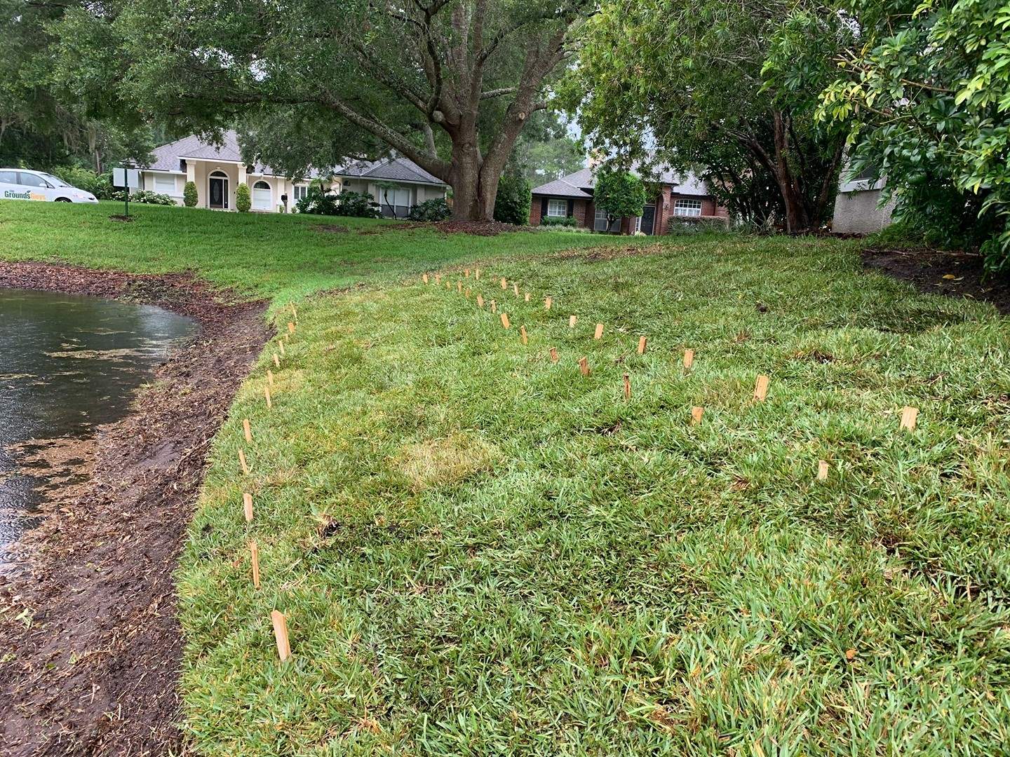 The Grounds Guys of St Johns, FL General