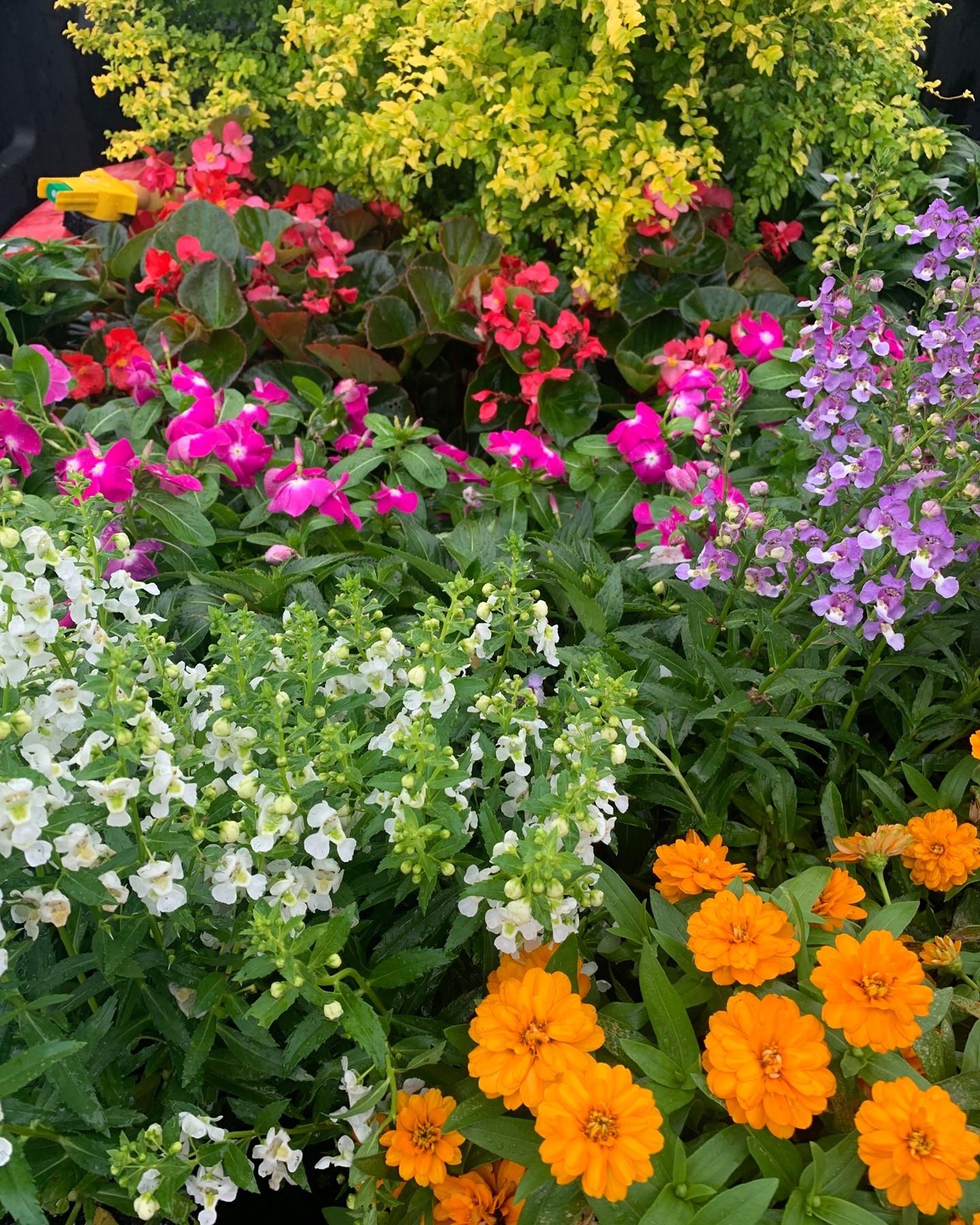 The Grounds Guys of St Johns, FL General