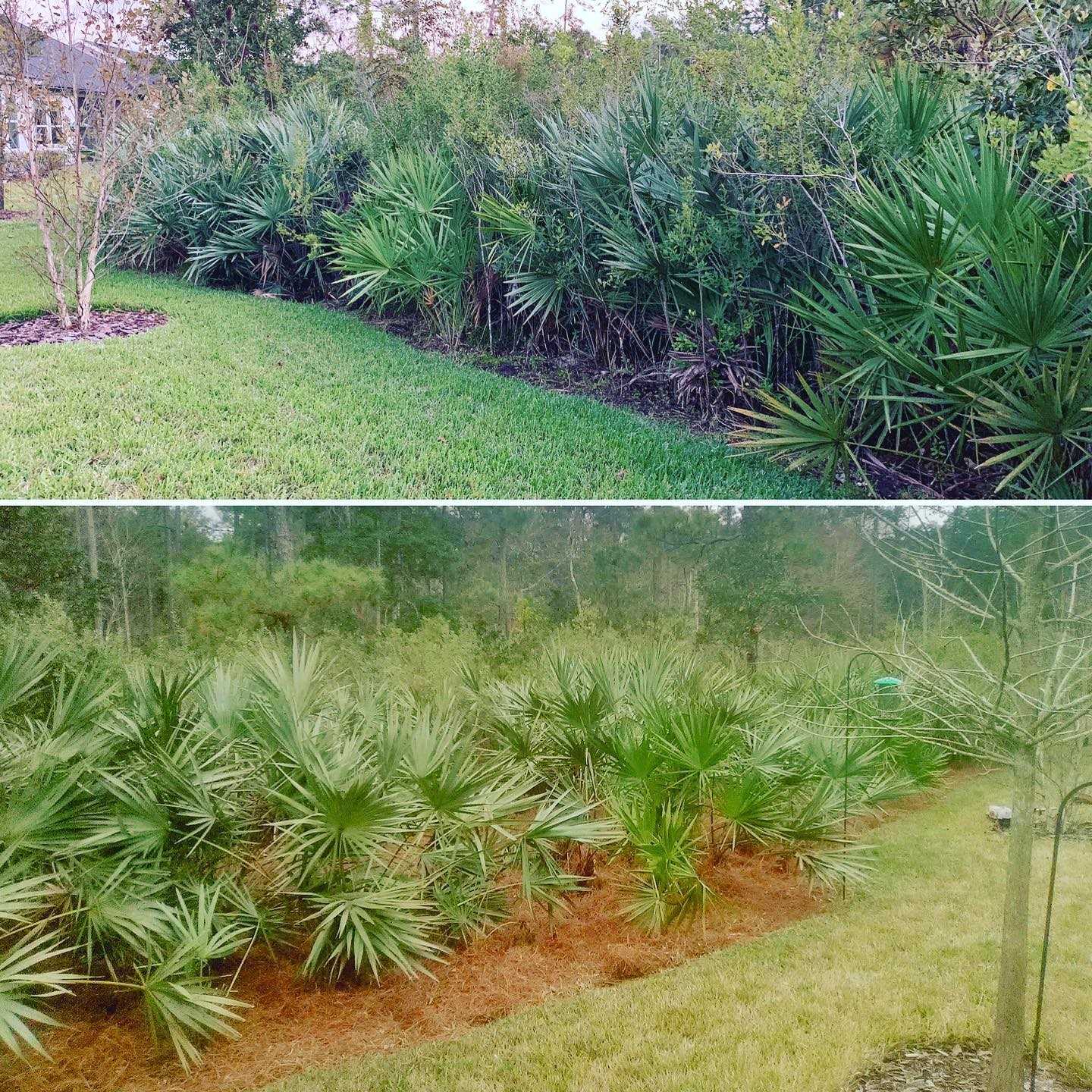 The Grounds Guys of St Johns, FL General