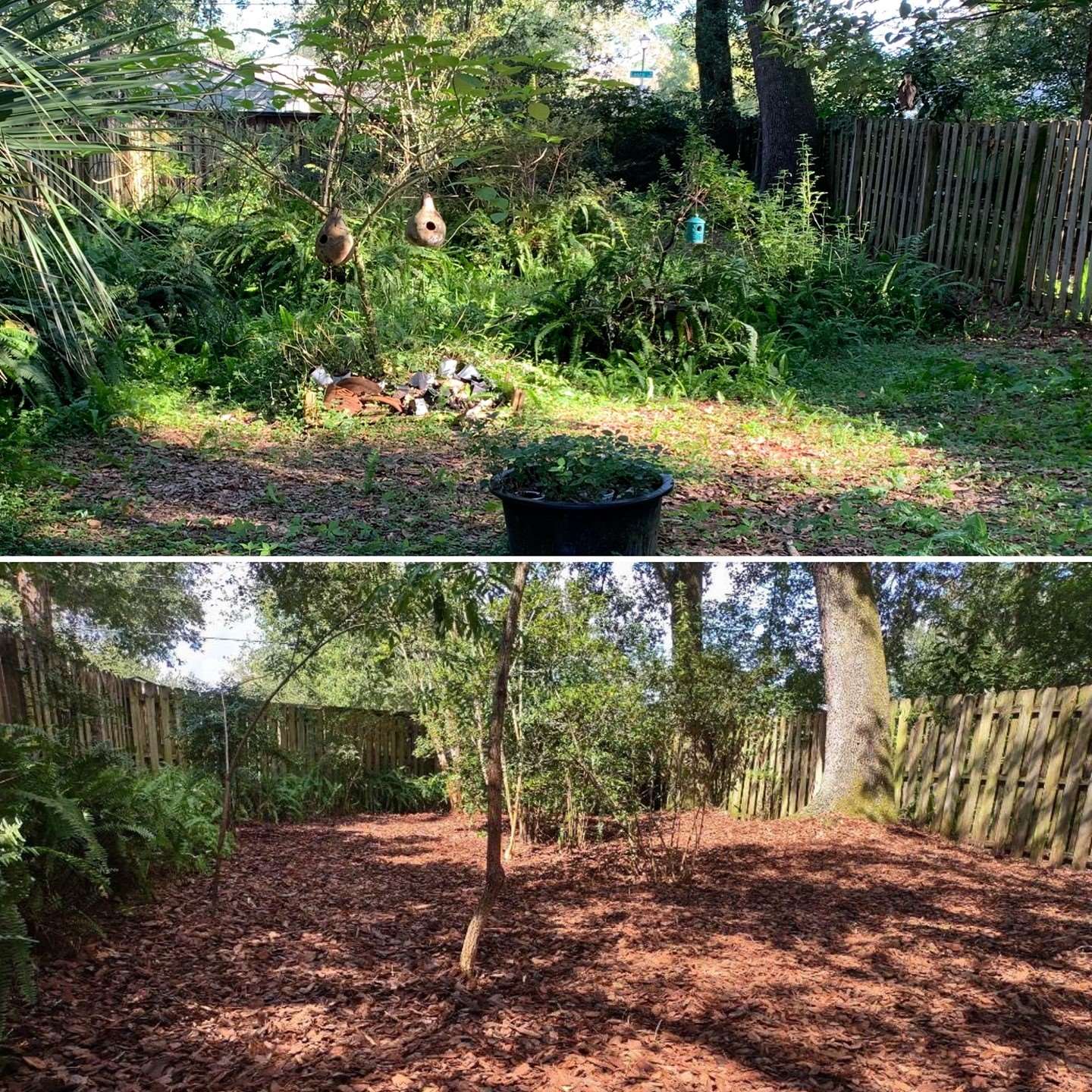 The Grounds Guys of St Johns, FL General