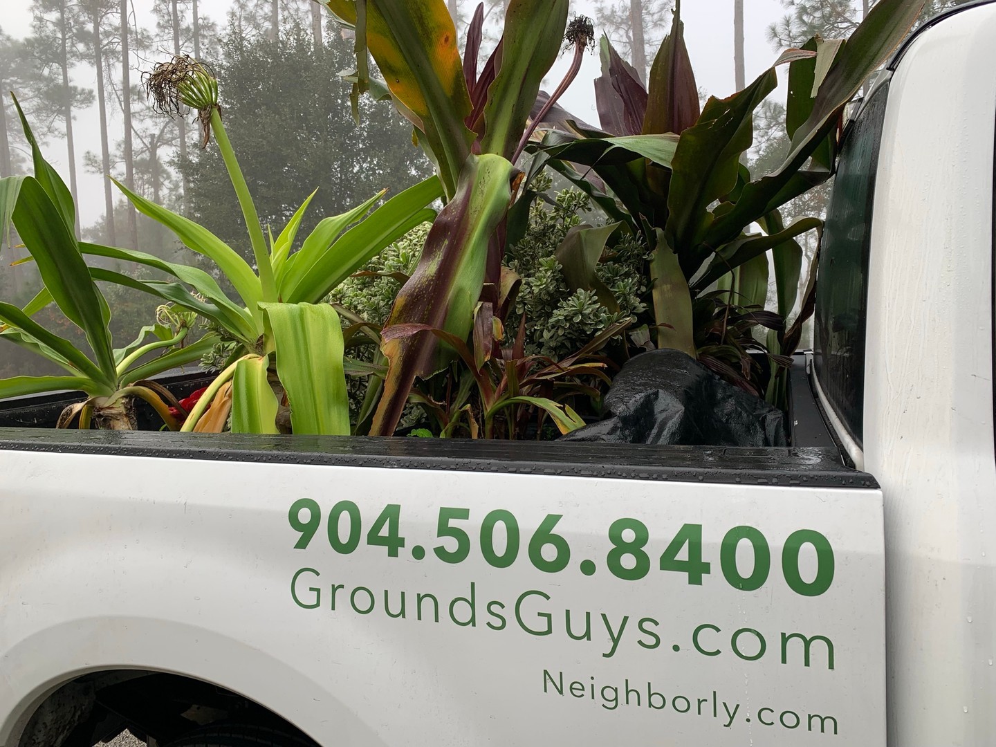 The Grounds Guys of St Johns, FL General