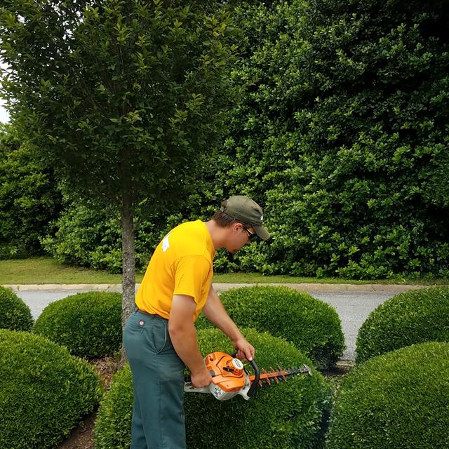 The Guy trimming the plants