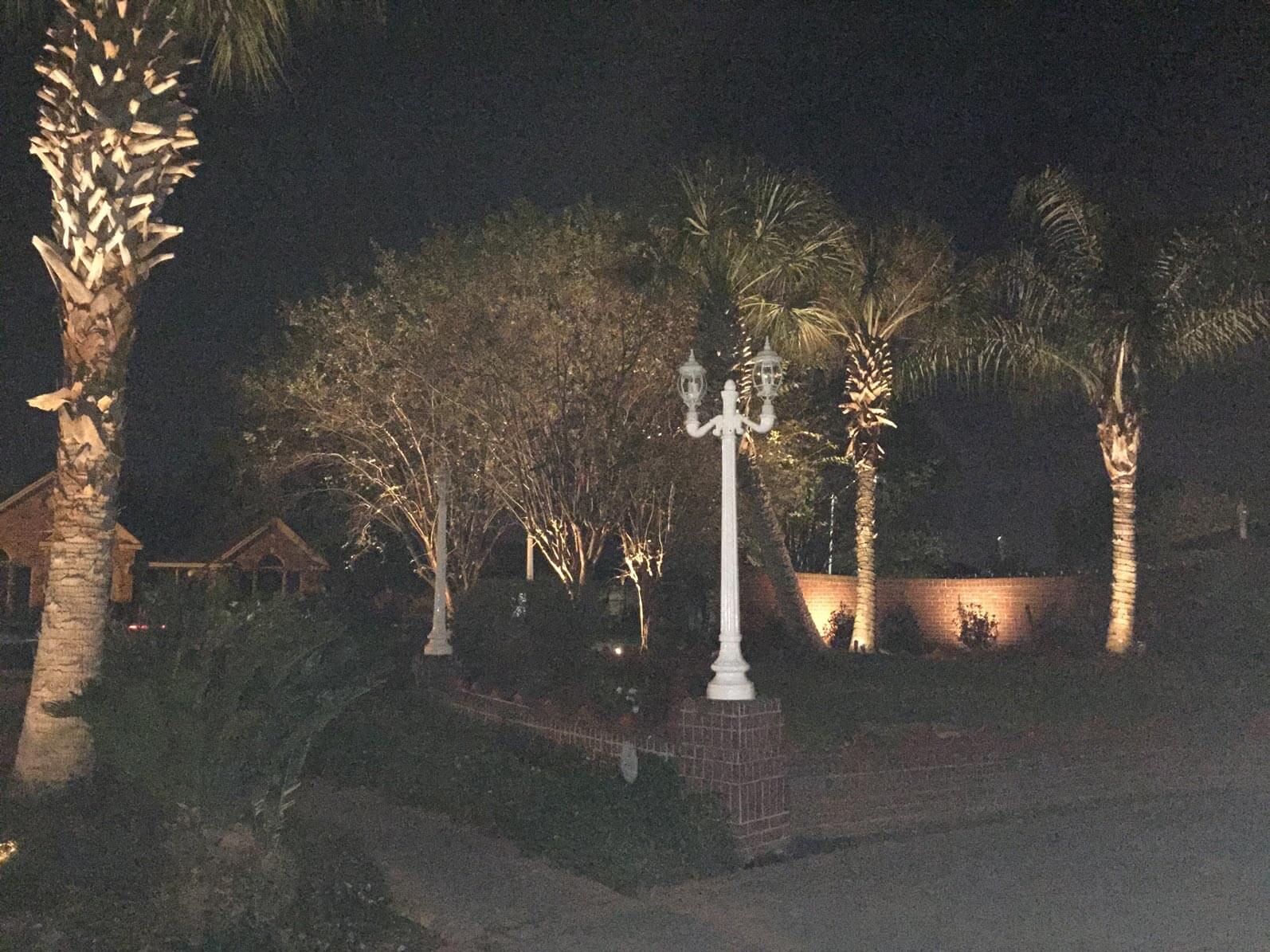 Trees in front of house with night lighting