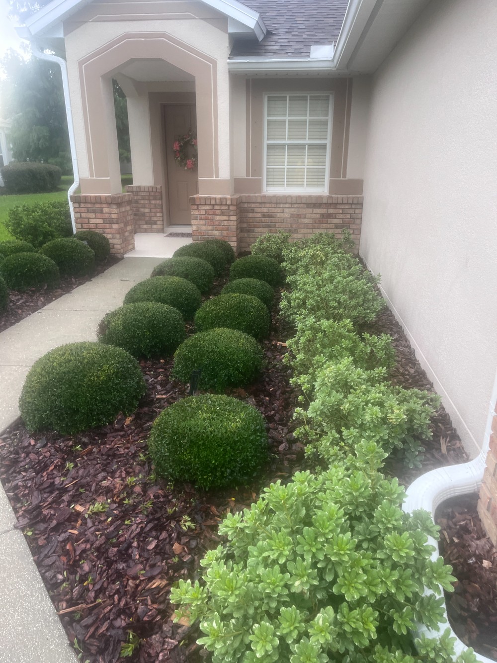 Trimming Shrubs