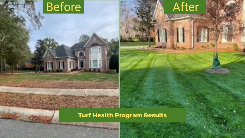Turf health care program - Before and After