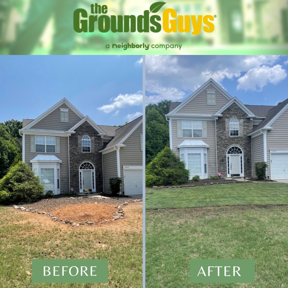 Turf healthcare results