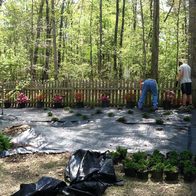 Two guys working on a garden.