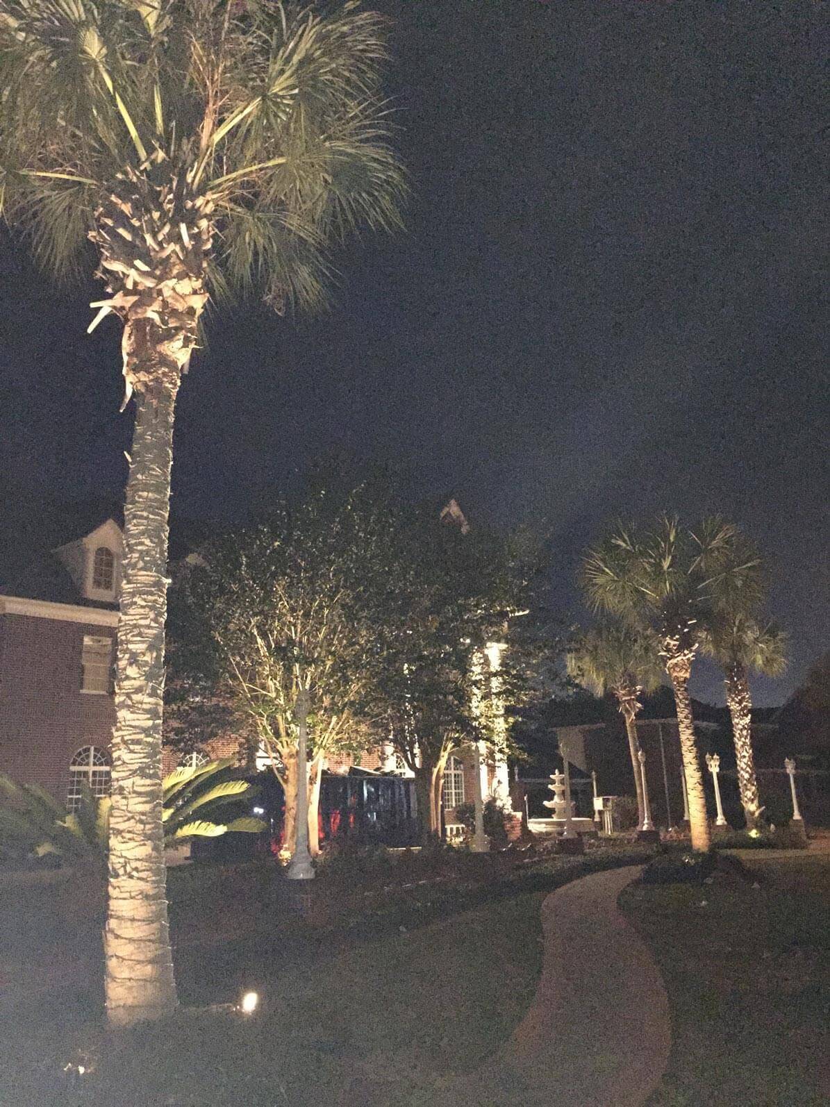 Walkway between trees with night lighting
