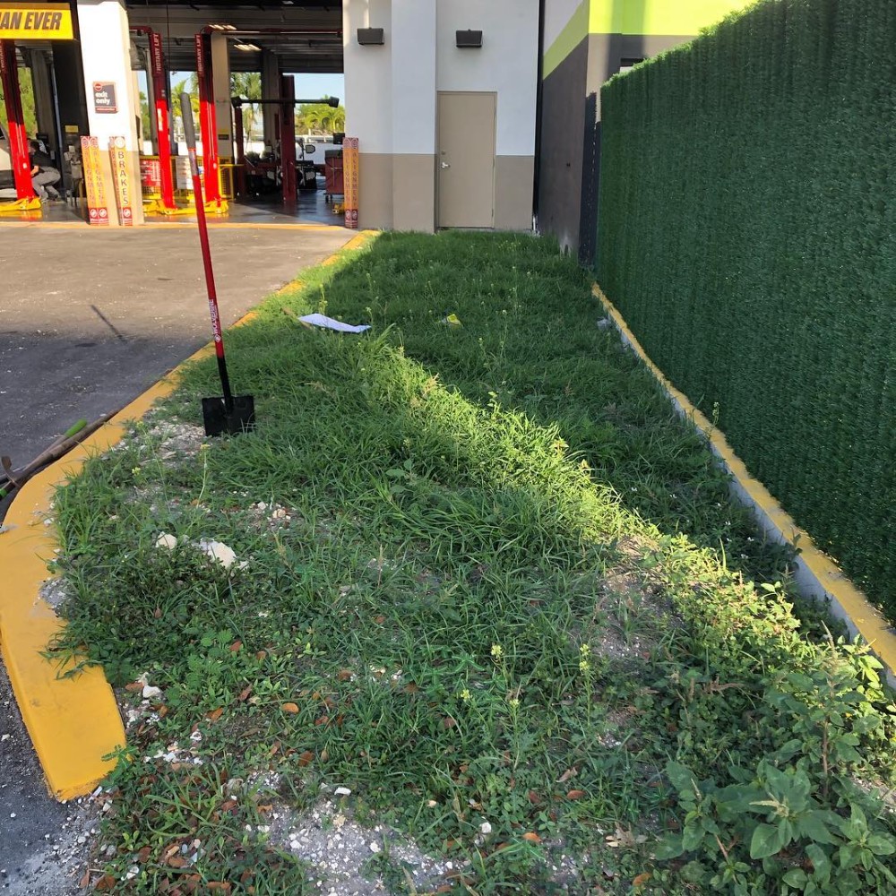 Walkway to be cleaned
