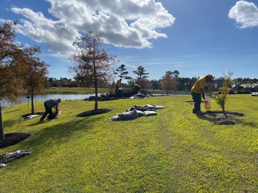 Weed Abatement and Mulch Installation