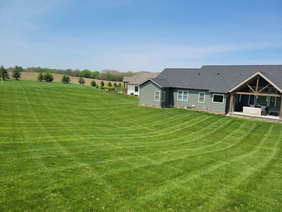 Well-manicured lawn