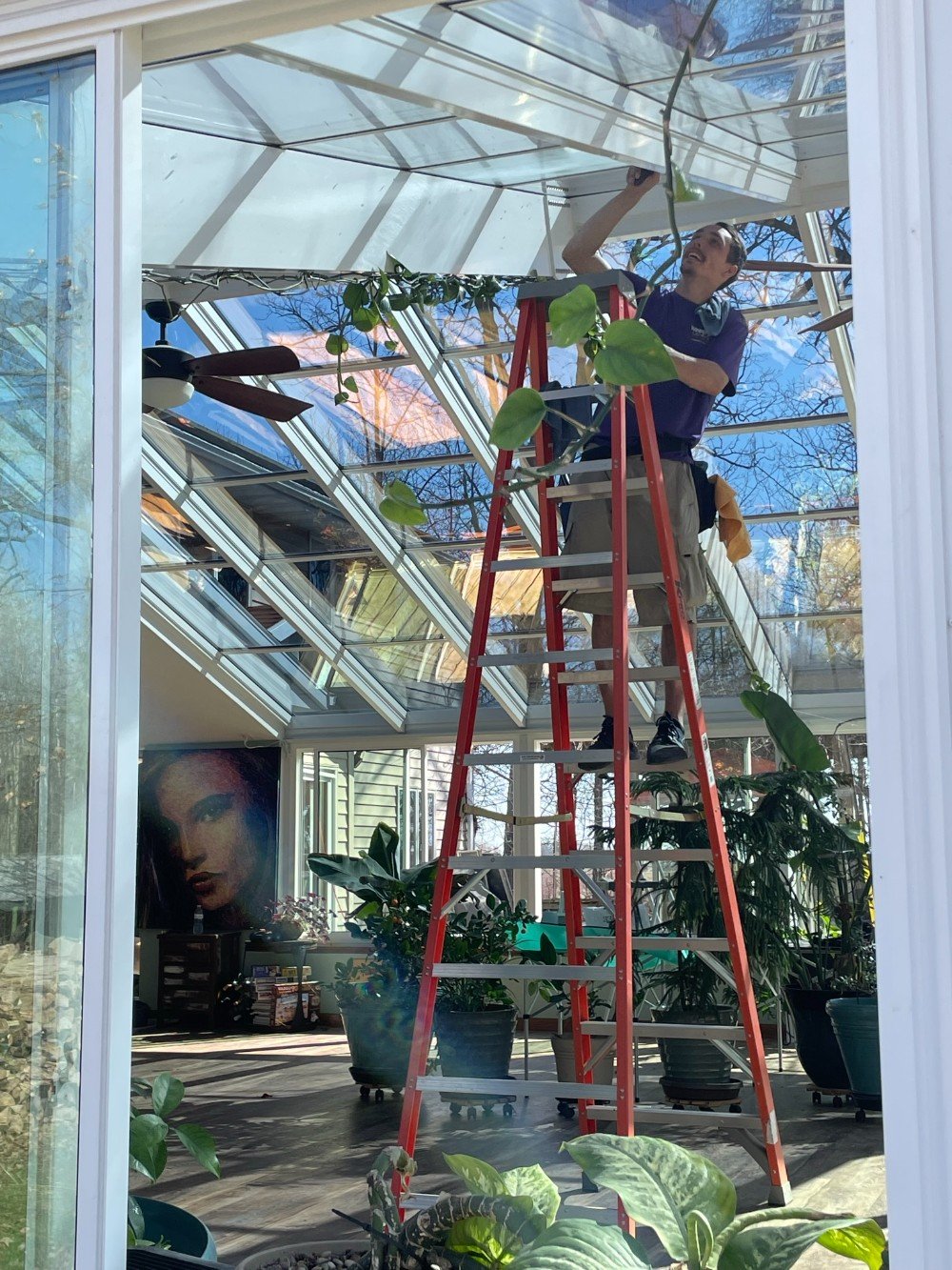Window Cleaning