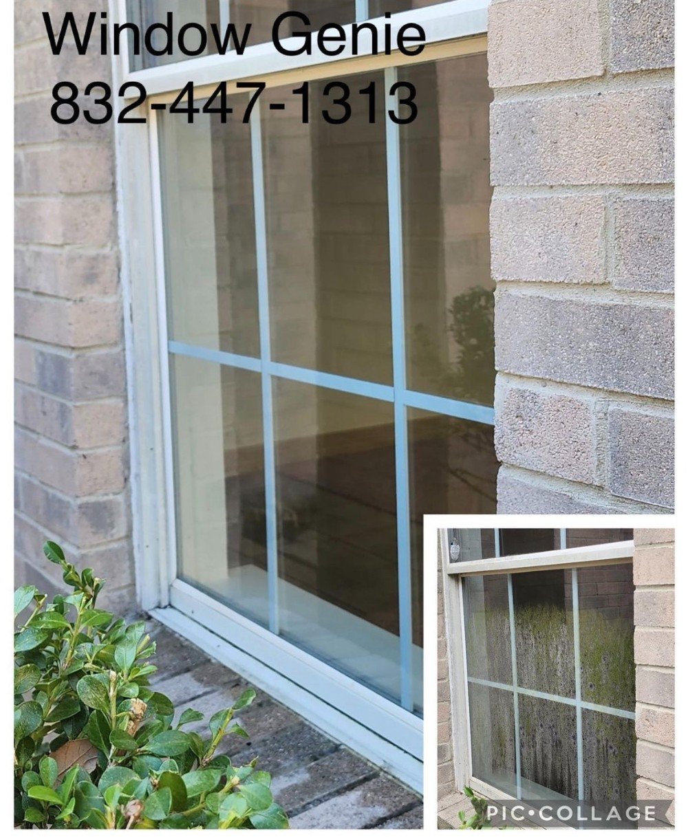 Window Cleaning