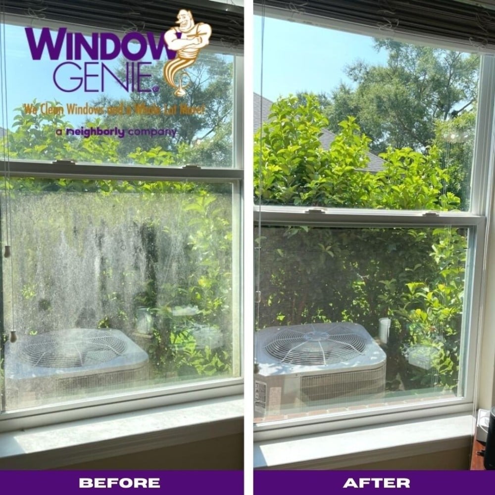 Window Cleaning