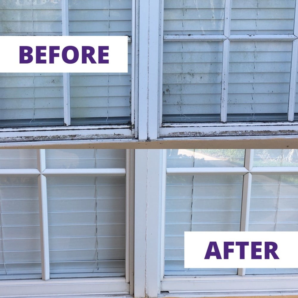 window cleaning
