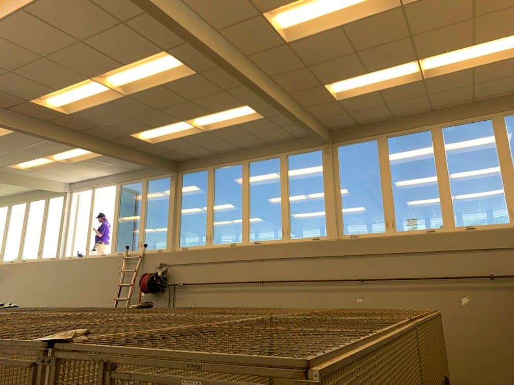 Window Tinting