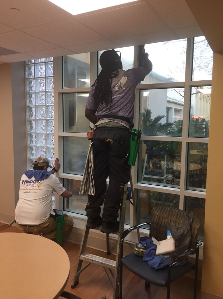 Window Film