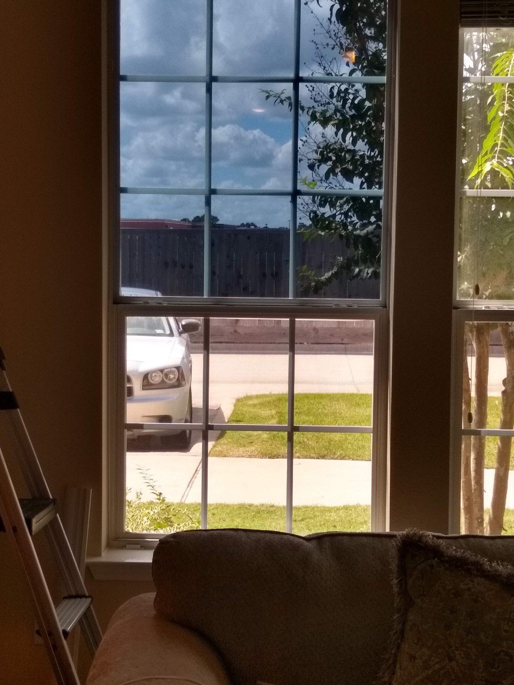 Window Tint