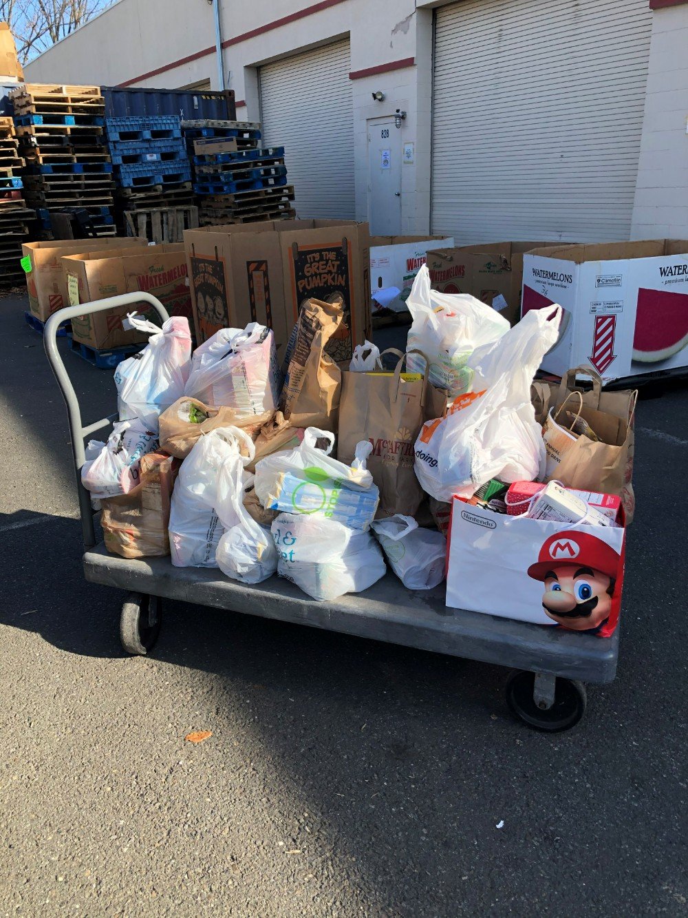 Windows for Wishes - Food Drive Delivery