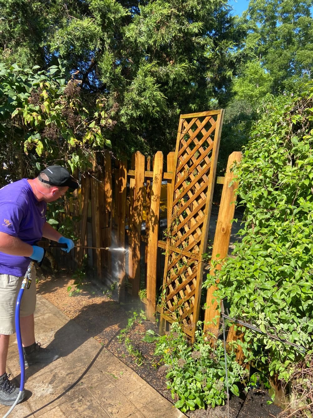 Wooden Fence Washing