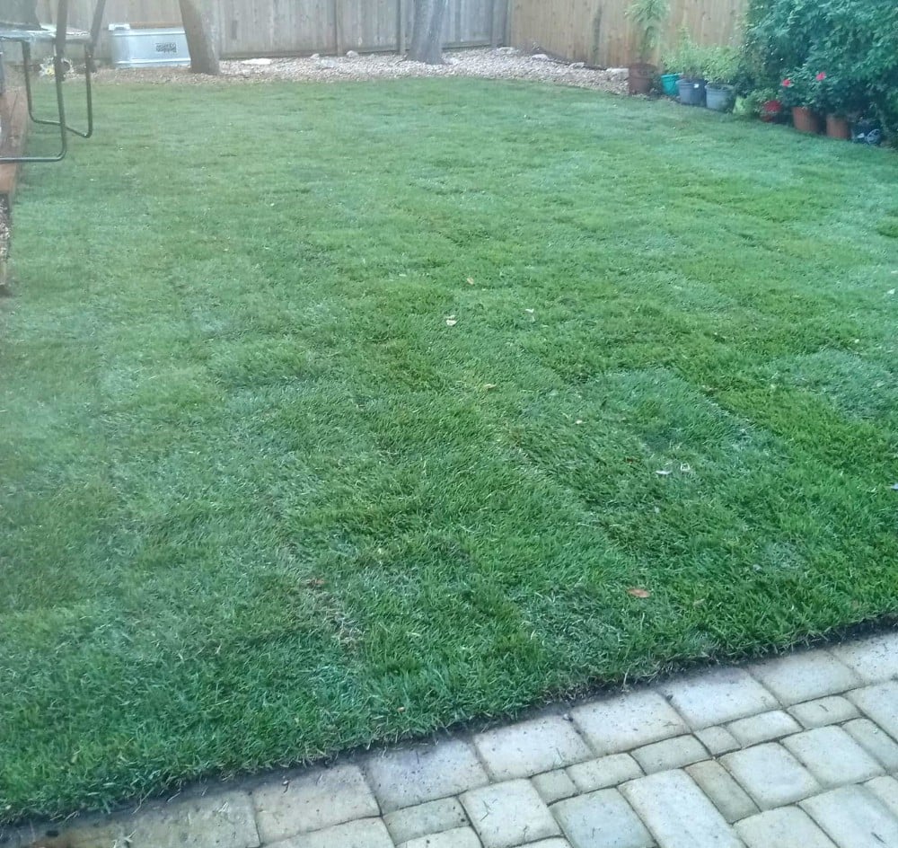 Sod Installation in Cedar Park