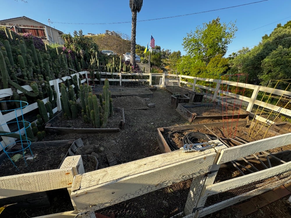 all weeds have been removed from fenced garden area