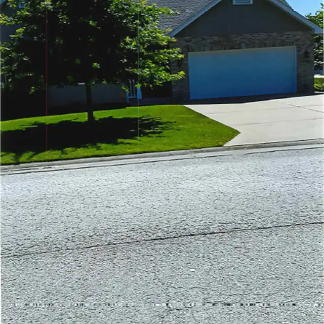 freshly manicured lawn with tree
