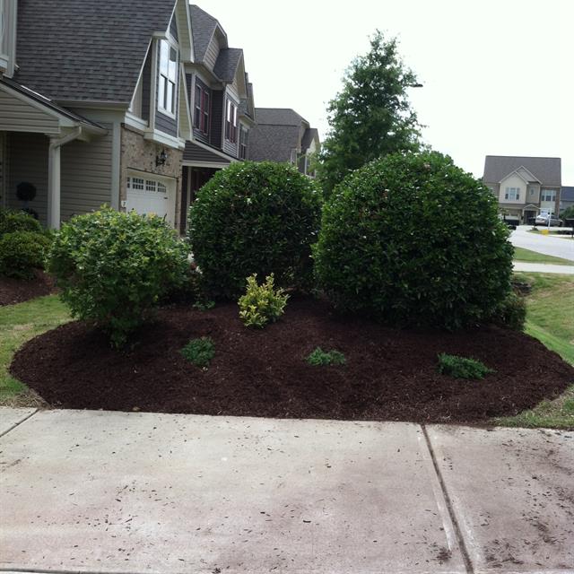 front lawn landscaping in a house