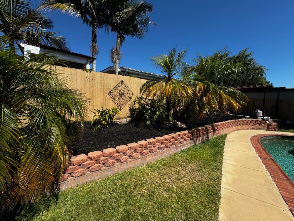 trimmed palm, black mulch