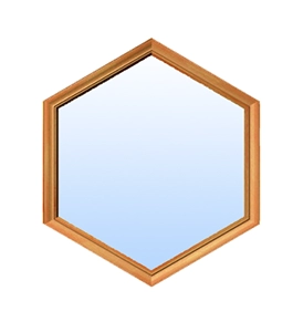  Window Genie hexagon shaped plate window.