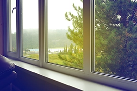 Solar control window film applied to window, with pine tree visible outside.