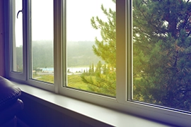 Tinted windows through which pine trees and a lake in the distance are visible.