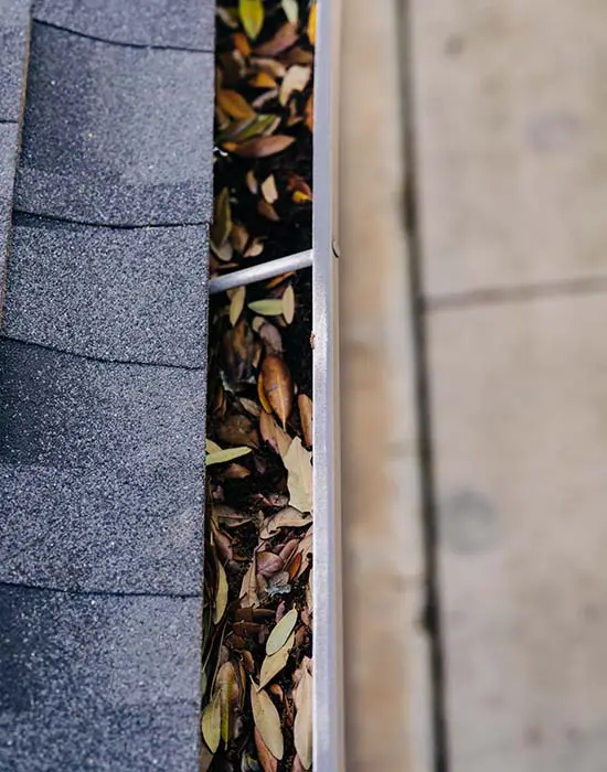A leaf-filled gutter in need of cleaning at a commercial property.