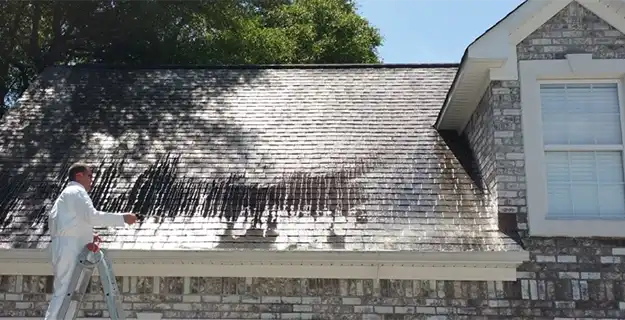 Window Genie service professional washing the roof of a single-family home.