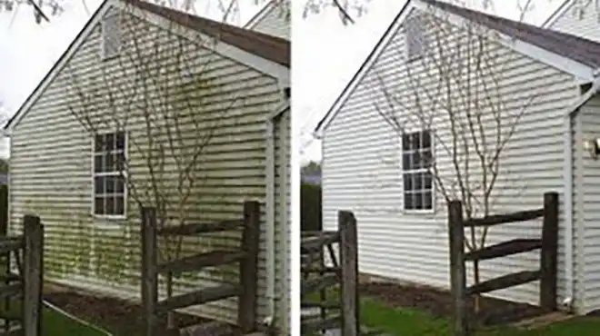 On the left, the side of a home covered with moss; on the right, the same home after pressure washing.