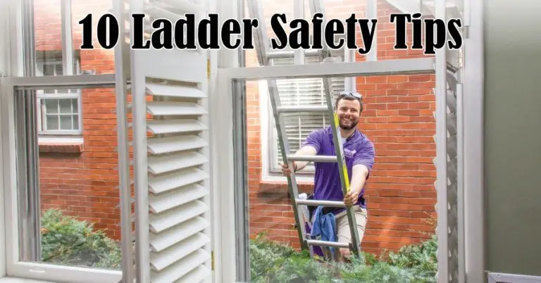 Smiling Window Genie professional with a ladder