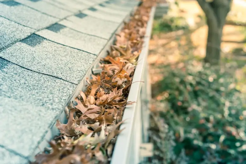 Clogged gutters on a house.