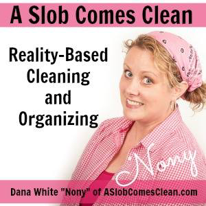 A picture of a women with the title reality based cleaning and organizing.