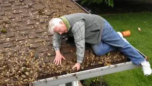 Gutter cleaning 