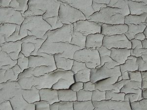 Picture of peeling paint or wallpaper.