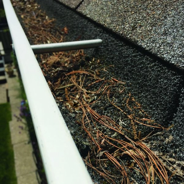 gutter cleaning.