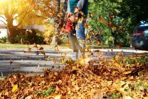 leaf blower blowing leaves