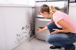 A lady showing mold in the house.