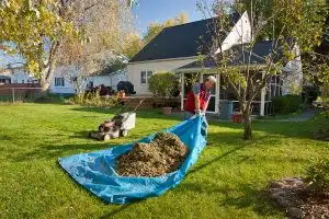 Lady pulling tarp of leaves