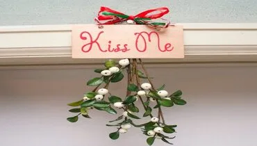 Mistletoe hanging in a doorway with a sign that says, 