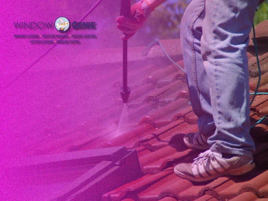 window genie professional washing the roof